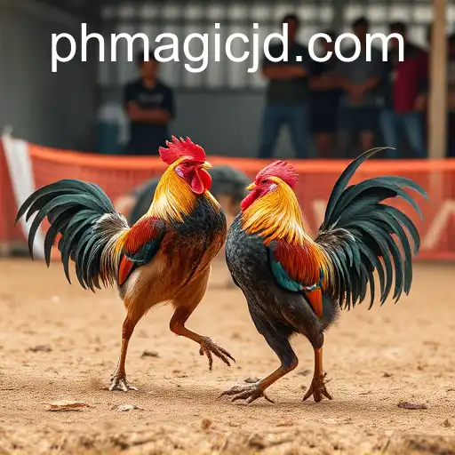 Security and Trust MAGIC JD - International Licenses and Certifications